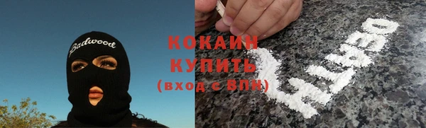 ешки Дмитриев
