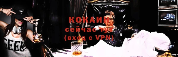 дживик Снежногорск