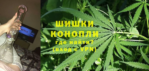 дживик Снежногорск