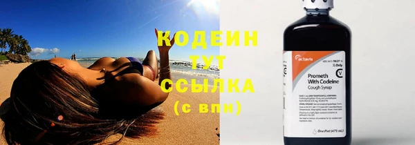 дживик Снежногорск