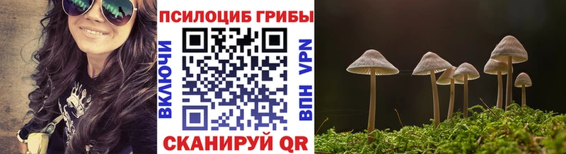 Галлюциногенные грибы мицелий Донецк